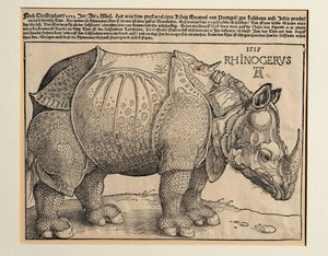 Il Rinoceronte da Albrecht Dürer or Duerer