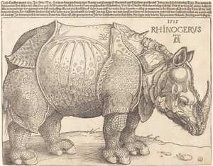 Il rinoceronte da Albrecht Dürer