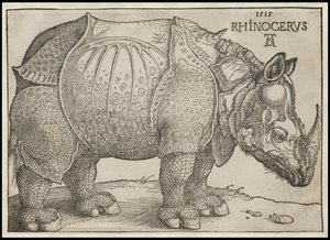 Il rinoceronte, 1515 da Albrecht Dürer