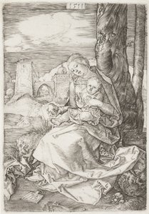 La Vergine e il Bambino con la pera da Albrecht Dürer