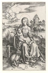 La Vergine con la scimmia, c.1498 da Albrecht Dürer