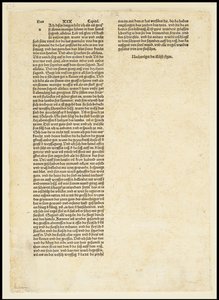 Verso dell