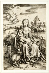 Vergine con Bambino e Scimmia da Albrecht Dürer
