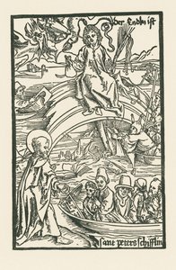 " Sul disprezzo della disgrazia " da Albrecht Dürer or Duerer