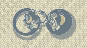  da Alejandra Winkhaus