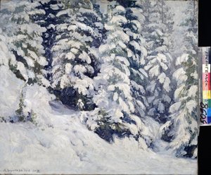 Foresta in inverno