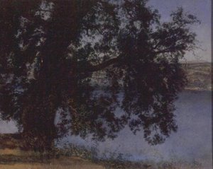 Albero all