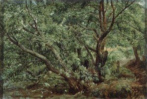 Alberi vicino a un ruscello da Aleksandr Andreevich Ivanov