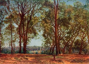 Nel Parco di Aricci, anni 1830, 1965 da Aleksandr Ivanov