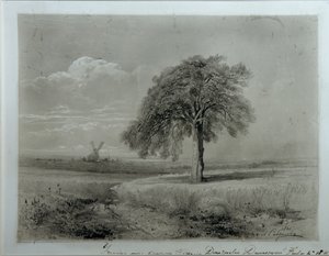 Paesaggio con mulino a vento da Alexei Kondratjewitsch Sawrassow