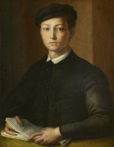 Ritratto di un giovane da Alessandro Allori