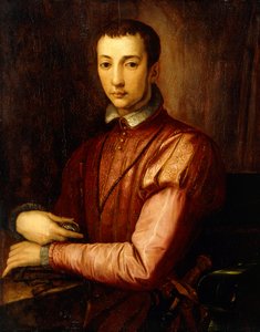 Ritratto di Francesco I de