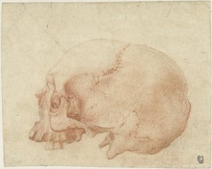 Studio di un cranio da Alessandro Allori