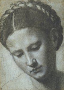 Testa di donna con capelli intrecciati