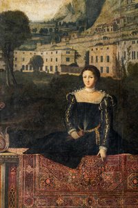 Ritratto di una nobildonna, (dettaglio) della Piccola Sala delle Nobildonne