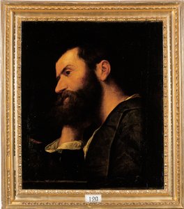 Ritratto del poeta Pietro Aretino, busto, con la testa appoggiata sulla mano destra su un ripiano con una pianta