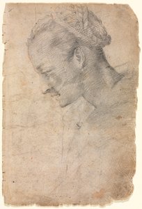 Profilo della testa di una donna (recto) da Alessandro Casolani