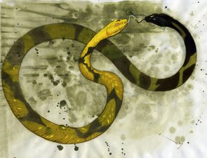 Creatura favolosa: rappresentazione di un