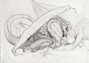 Creatura fantastica: un drago che protegge il suo uovo. Schizzo a matita di Alessandro Lonati da Alessandro Lonati