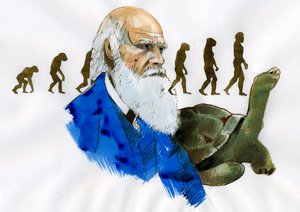 Ritratto di Charles Darwin (Illustrazione)
