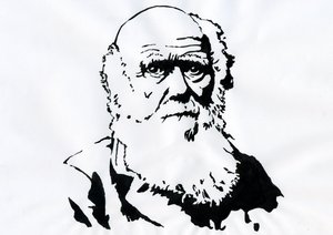 Ritratto di Charles Darwin da Alessandro Lonati