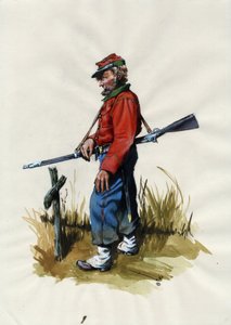 Secondo Impero (1852-1870): Unificazione italiana (Risorgimento), volontario dell