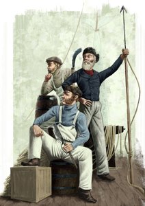 Tre balene da Alessandro Lonati