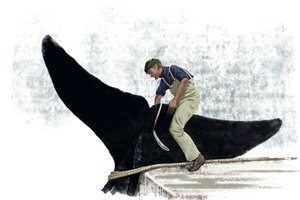 Barca baleniera che taglia la coda di una balena