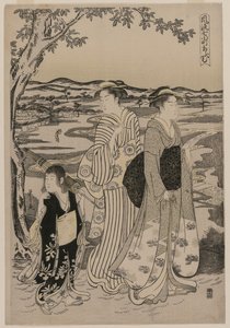 Omu il Pappagallo (dalla serie Sette Episodi Eleganti della Vita della Poetessa Ono no Komachi) da Alessandro Magnasco
