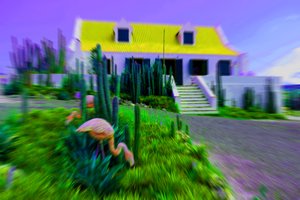 Casa delle bambole, 2019 da Alex Caminker