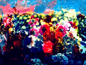 Campo, 2019 da Alex Caminker