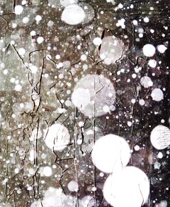 Neve da Alex Caminker