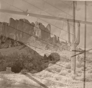Deserto da Alex Caminker