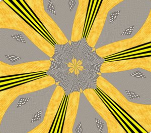 Fiori #72