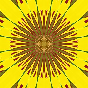 Geometria, 2019 da Alex Caminker