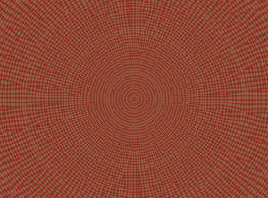 ornamento #2, 2019 da Alex Caminker