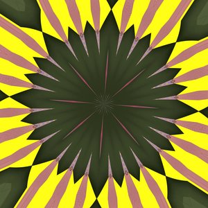 Girasole da Alex Caminker