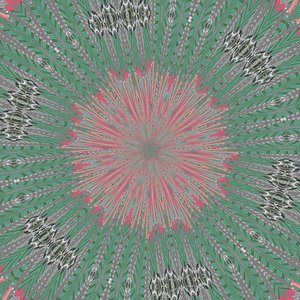 Simmetria #31