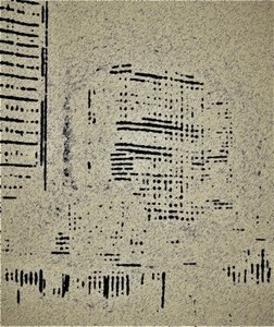 Case di città (edifici), 2020 da Alex Caminker
