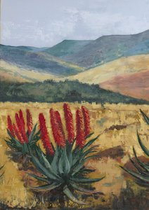 Aloe rossa sul pendio da Alex Cornell