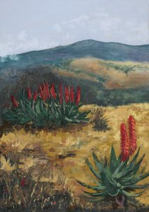 Red Aloes Desert Hills da Alex Cornell