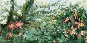 Orchidee tropicali dai colori vivaci da Alex Cornell