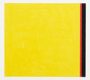 Vai al giallo da Alex Dunn