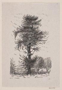 Quercia presso Guldberg da Alexander Blom