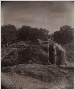 Elefante scolpito in cima a una roccia con iscrizioni di Asoka, Dhauli, Distretto di Puri da Alexander Caddy