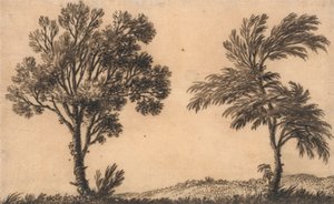 Studio di due salici da Alexander Cozens