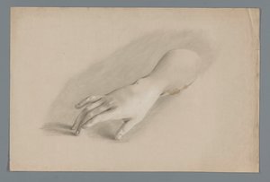 Modello in gesso di una mano da Alexander Cranendoncq