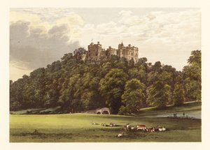 Castello di Dunster, Somersetshire, Inghilterra (incisione) da Alexander Francis (after) Lydon