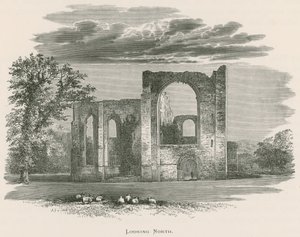 Abbazia di Furness, vista a nord da Alexander Francis Lydon