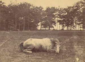 È questa la morte - Campo di battaglia di Antietam, settembre 1862, 1862 da Alexander Gardner